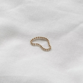 The Bruno Ring